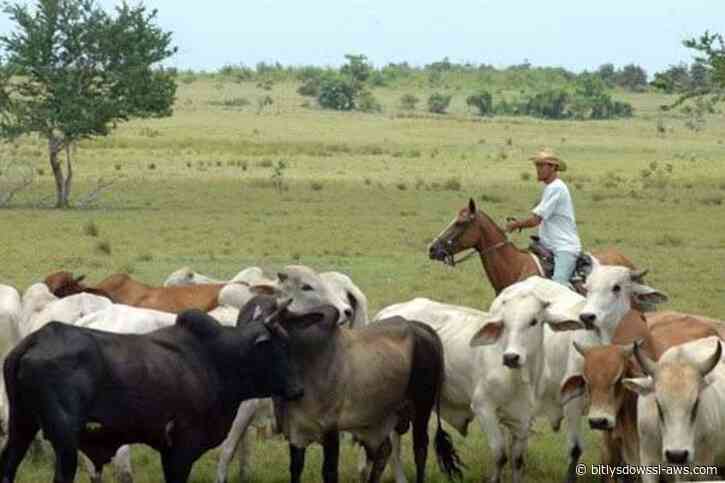 Fedenaga advierte que el borrador de la ley agraria aprobado por la AN necesita redefinir el marco sancionatorio