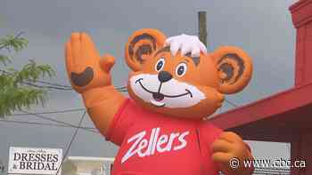 Zellers stages a comeback in Toronto with new store in North York