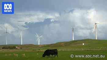 Coalition's renewable energy buffer zones risks projects, report says