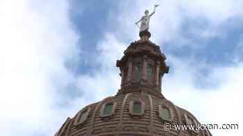 Debate over sterilized screwworm flies plays out in Texas Capitol