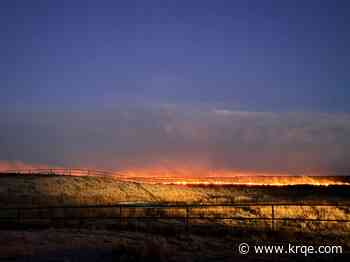 Quay County declares disaster after May fires scorch ranch lands