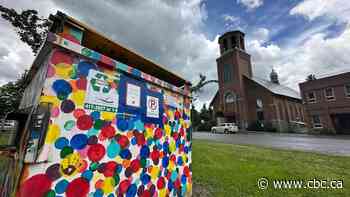 Fernie’s bear-resistant bins were meant to keep wildlife away. Now they’re under review