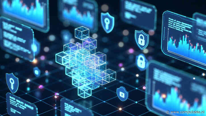Gelaagde Data-integriteit by Design met een Blockchain in de Applicatie