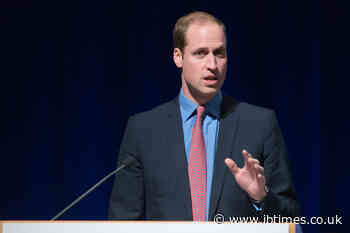Prince William 'Effing Detests' Prince Harry as Sussexes' Villa Park Move Branded an 'Act of War'