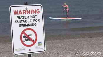 5 Vancouver beaches closed to swimming due to high E. coli levels