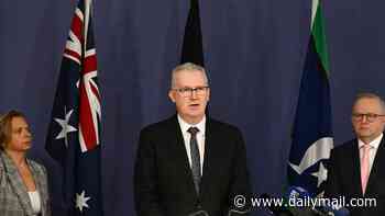 Australia's population grows past 28 million - as the Coalition clashes with the Albanese government over the latest figures