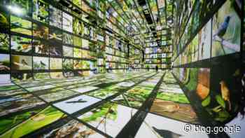 Powering the world’s first AI arts museum