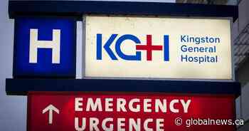 Kingston parasite outbreak shows early signs of decline, source still unknown