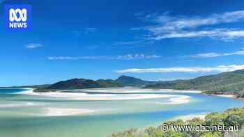 North Queensland reacts to Rinehart's idea of giving islands to Musk