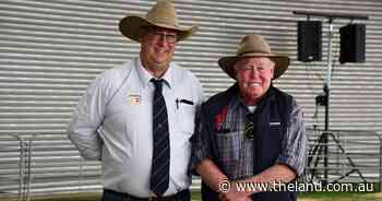 How a schoolboy chucking a sickie became Shorthorn event's latest life member