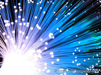 Globe Telecom launches mobile, home fibre services bundles with 2-year rewards