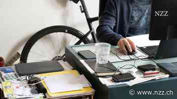 Betrug im Home-Office : «Wenn es Warnzeichen gibt, muss man als Führungsperson hinschauen»