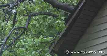 Storms knock down trees and power lines across metro Atlanta