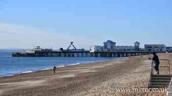 Cops swarm UK beach after man spotted carrying rifle at barbecue with friends