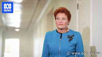 Pauline Hanson says businesses 'can't sack' lazy workers. What's the reality?