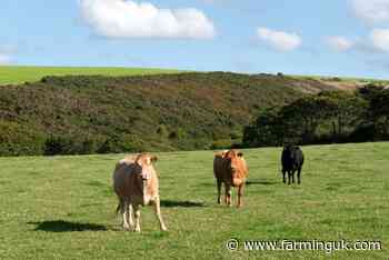 Council reverses meat ban in support of livestock producers