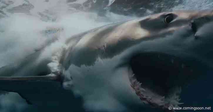 Shark Thriller Chum Sets AMC+ Streaming Release Date