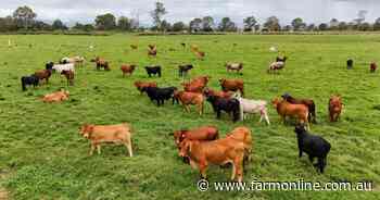 Riverfront Laravale cattle country with quality irrigation water | Photos