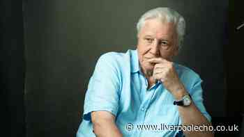 David Attenborough urgent gardening task to attract wildlife this summer
