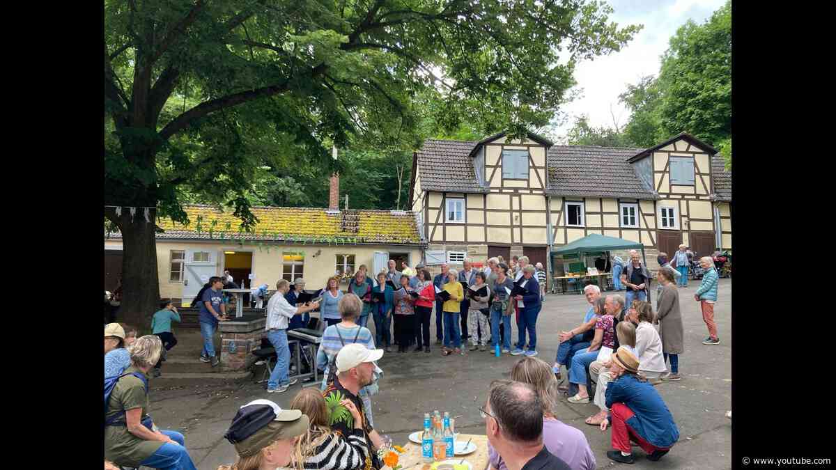 100 Jahre Waldschule