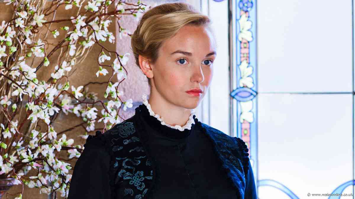 'Flawless masterpiece' period drama better than Bridgerton is 'the best ever'