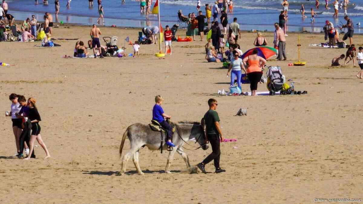 Popular Welsh beach bans donkey rides after 100 years - full explanation