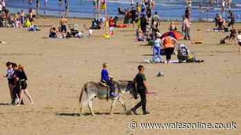 Popular Welsh beach bans donkey rides after 100 years - full explanation