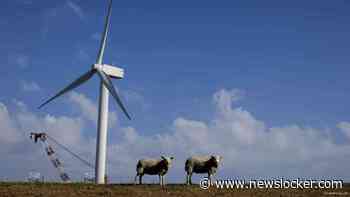 Meer hernieuwbare energie uit zon, wind en biomassa verbruikt in 2025