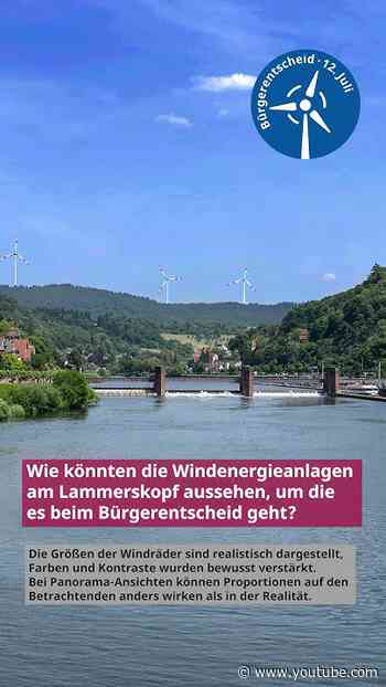 Wie könnten die Windenergieanlagen am Lammerskopf aussehen, um die es beim Bürgerentscheid geht?