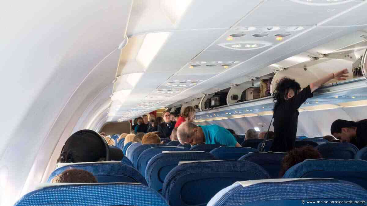 „Das kann man sich nicht ausdenken!“: 13-Jähriger entdeckt Ratte in Flugzeug