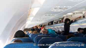 „Das kann man sich nicht ausdenken!“: 13-Jähriger entdeckt Ratte in Flugzeug