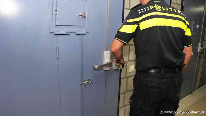 Man aangehouden in Berkel-Enschot na misbruik en mishandeling kinderen