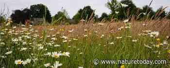 Natuurnetwerk Brabant: samen werken aan sterke natuur