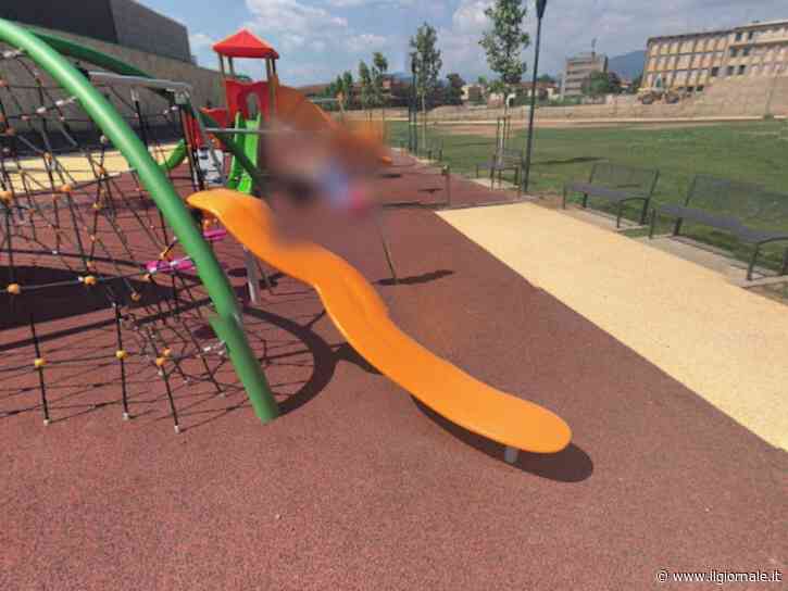 Terrore a Brescia, nigeriano tenta di strangolare un bimbo di 3 anni al parco