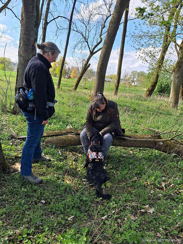 Schwäbische Spezialität hilft Leben retten - "Mauldäschla-Patrol" auf vier  Pfoten - Hunde werden im Training mit Maultaschen belohnt