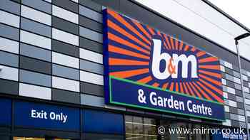 B&M's £10 'essential' travel backpack 'fits Ryanair and EasyJet'