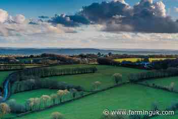 Council backs plan to save Cornwall's county farms estate