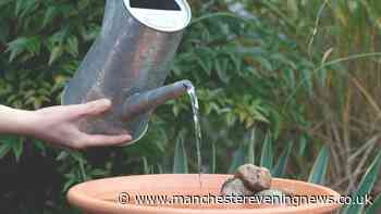 Gardeners told to leave a tray of water outside this weekend
