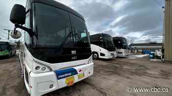 Regulators ask for alternatives to Maritime Bus dynamic pricing plan