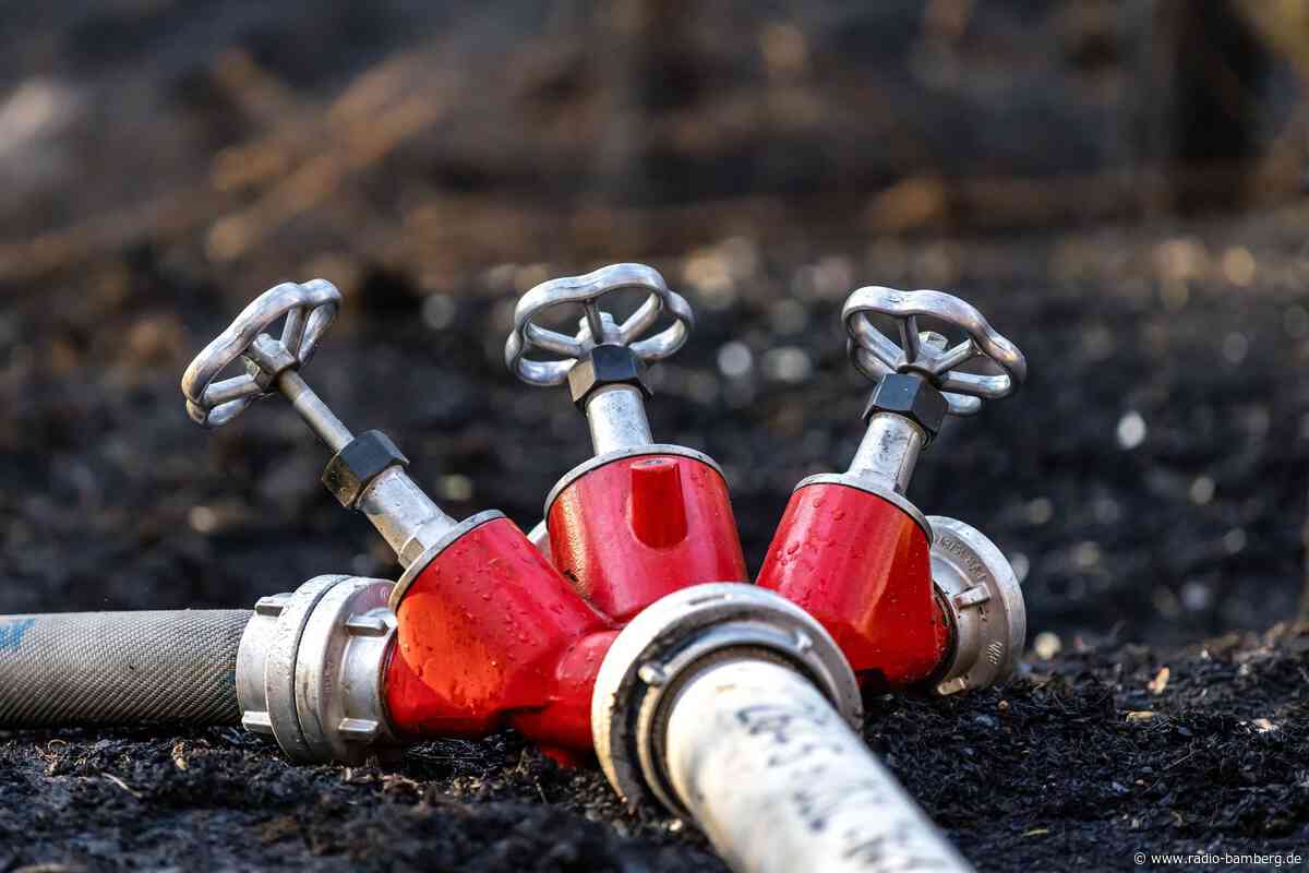 Mehr als 34.000 Quadratmeter Wald nach Feuer zerstört