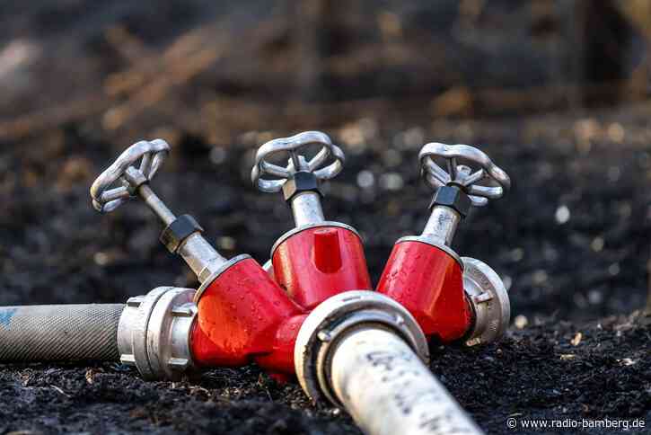 Mehr als 34.000 Quadratmeter Wald nach Feuer zerstört