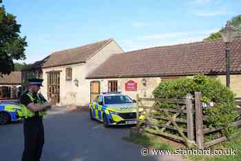Arrested man released after boy, three, injured in crocodile enclosure at zoo