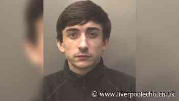 Man ran from police after 'pink cocaine' found at festival