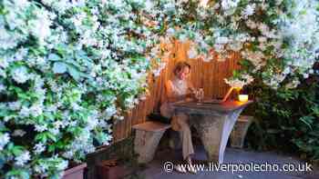 Five invasive plants that can spread aggressively and damage your home