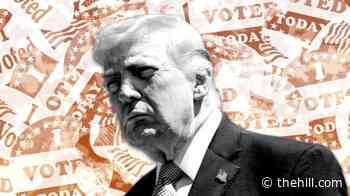 Latest Trump SAVE America push splits House Republicans 