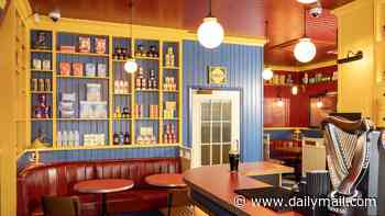 Inside Lidl's first-ever PUB: Discount supermarket chain opens £500,000 60-seat bar selling beer, wine and spirits called The Middle Ale