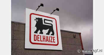 Recordwinst Delhaize over 2025