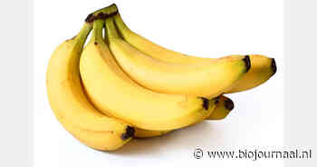 Ruim één op de vijf bananen in België draagt Fairtrade-label