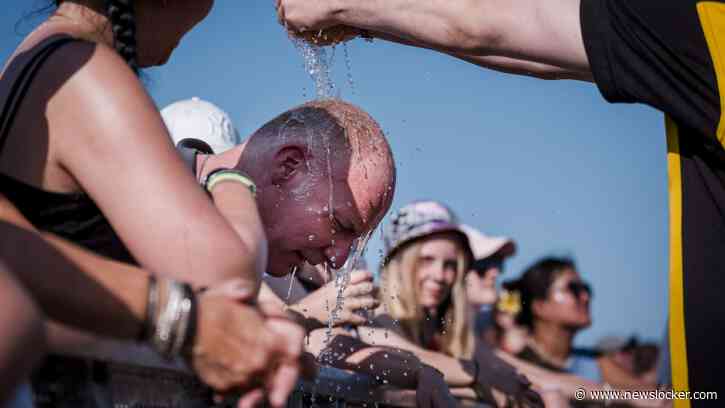 Festivalhitte wordt genadeloos zonder juiste outfit: ’Dit is misschien een trend, maar op zonnige dagen geen goede keuze’