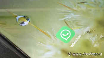 WhatsApp werkt aan widget voor snelle spraakberichten